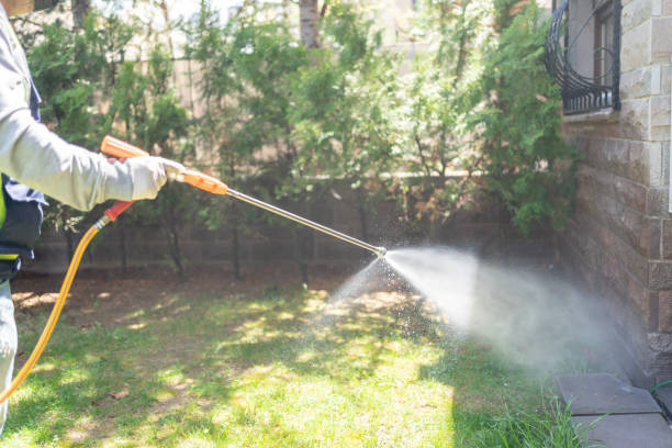 Best Mosquito Control  in Spring Valley, NV